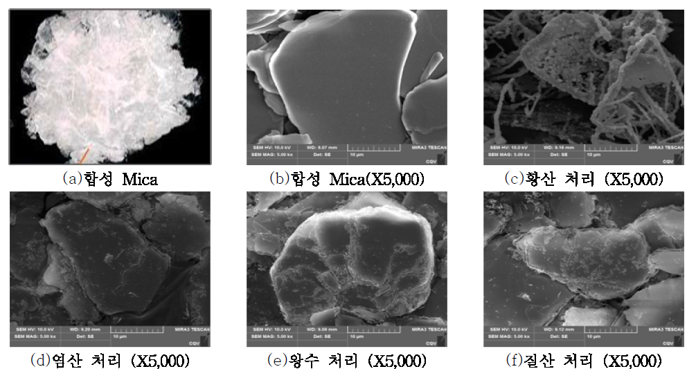 합성 마이카 사진 및 산처리에 따른 입자 표면 변화 관찰