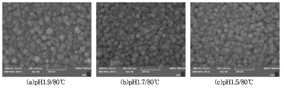 pH에 따른 입자 크기 및 형상 관찰