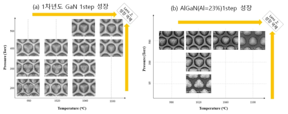 GaN(1차년도)와 AlGaN(Al=23%) 1 Step 성장 비교