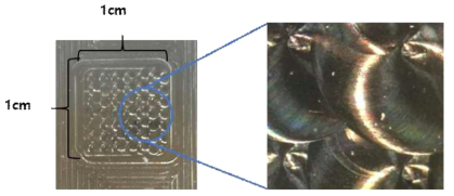 마이크로니들이 양각된 금형 몰드