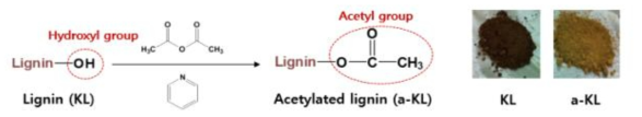 Schenatic of lignin acetylation