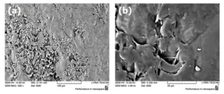 리그닌 Master batch 펠렛 단면의 FE-SEM 분석결과 (a) low magnification, (b) high magnification