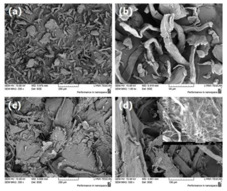 나노셀룰로오스 섬유 FE-SEM 분석결과 (a, b) S-CNF, (c, d) L-CNF
