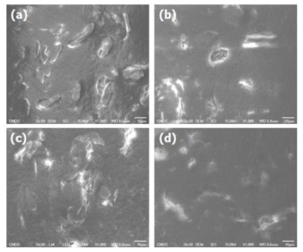 PP/S-CNF/Lig. 복합소재 단면의 FE-SEM 분석 결과: (a) without coupling agent, (b) Titanate, (c) MTMO, (d) AMEO