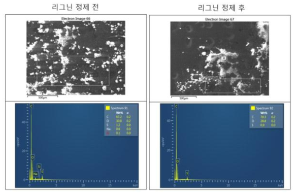 정제 전 후 리그닌의 SEM-EDAX 분석 결과