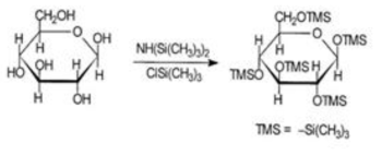 나노셀룰로오스 HMDZ 표면처리 메커니즘 (HMDZ-CNF)