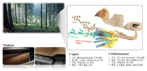 나노셀룰로오스 복합재료 개념도