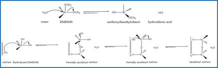 DMDMS–CNF (S-CNF) 표면개질 메카니즘