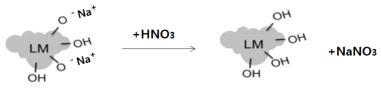 리그닌의 Na+ 제거 반응(LM, 리그닌마크로머)
