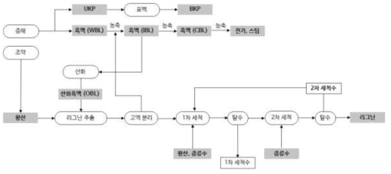 리그닌 추출/정제 공정 모식도