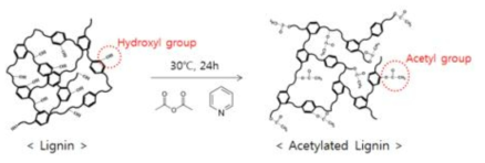 리그닌의 아세틸화 개질법 반응식