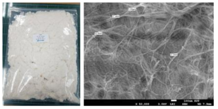 나노셀룰로오스 샘플 사진 및 표면 모폴로지 사진