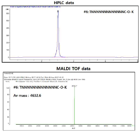 HPLC 및 MALDI TOF 측정 예시 (#6)