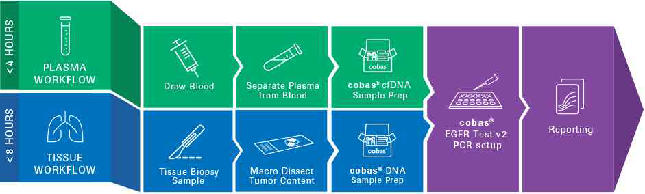 FDA 승인을 받은 혈액내 EGFR 유전자 돌연변이 진단 제품의 분석 절차 (로슈 cobas® EGFR Mutation Test v2 제품 홈페이지, http://egfrmutationtestv2.roche.com/benefits/)