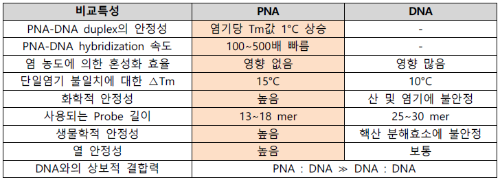 PNA vs. DNA의 특성 비교