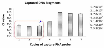 특이적인 DNA capture를 위한 PNA probe의 최적 농도 분석