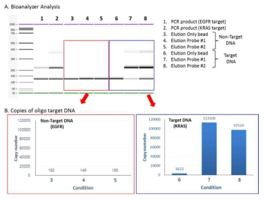 Oligo target DNA기반 capture 효율 분석