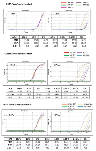 A549 (EGFR Exon 2), PC9(EGFR Exon 19), H1975 (EGFR Exon 20) Cell Line기반 Enrichment Probe Test 예시