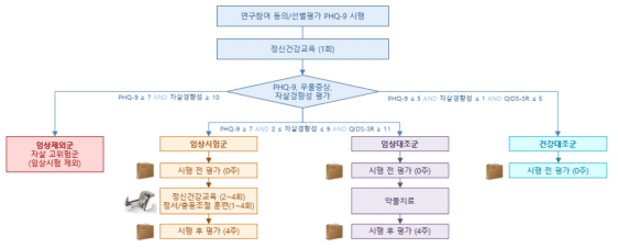 임상시험 절차