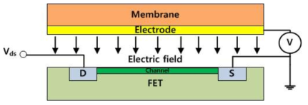 FET 기반 에너지 변환 기술
