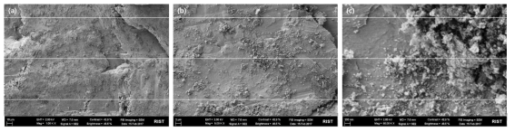 입도 19nm의 탄소분말로 코팅한 마그네슘 합금 칩 표면 형상 (a) 1,000배, (b) 5,000배, (c) 50,000배로 관찰한 SEM 사진