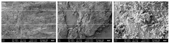 입도 35nm의 탄소분말로 코팅한 마그네슘 합금 칩 표면 형상 (a) 1,000배, (b) 5,000배, (c) 50,000배로 관찰한 SEM 사진