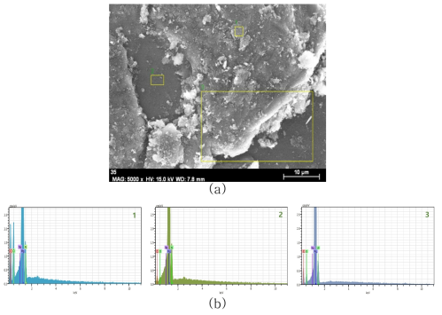 입도 27nm로 코팅한 마그네슘 합금 칩 표면의 (a) SEM 사진과 지정된 영역(1~3)의 탄소 농도를 나타내는 (b) EDS 분석 결과