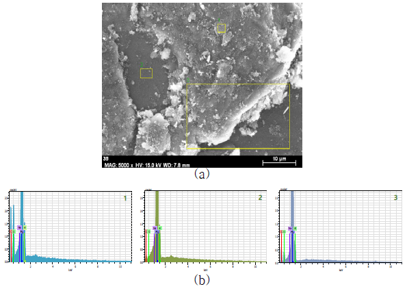 입도 35nm로 코팅한 마그네슘 합금 칩 표면의 (a) SEM 사진과 지정된 영역(1~3)의 탄소 농도를 나타내는 (b) EDS 분석 결과