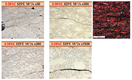0.08C-AZ31B 빌렛을 325 ℃ / 10-1/s 조건에서 압축 후 관찰한 미세구조