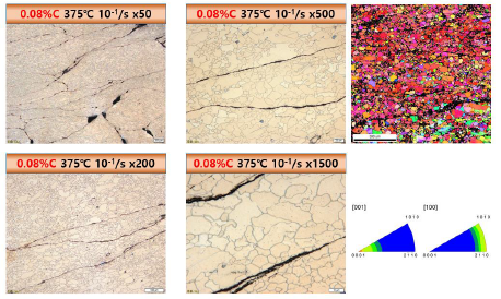 0.08C-AZ31B 빌렛을 375 ℃ / 10-1/s 조건에서 압축 후 관찰한 미세구조