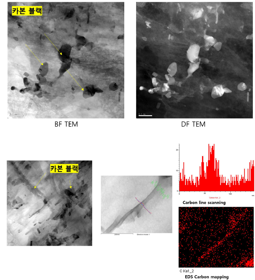 속도비 3으로 압연된 0.03C-AZ31B 압연재의 TEM 사진과 EDS 탄소 분포