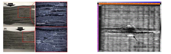 SEM, 광학현미경, C-scan으로 촬영한 Composite micro crack