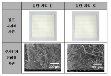 실란 처리 전 후의 펄프 지지체 외관 사진 및 전자 현미경 사진