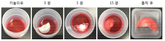 친유화된 나노셀룰로오스 구조체를 이용한 오일흡착 실험