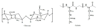 본 연구에서 사용된 키토산 및 젤라틴의 화학구조식