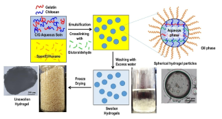 구형의 키토산-젤라틴 하이드로젤 입자를 대량으로 제조하기 위한 역상유화 가교법의 모식도 및 이로부터 제조된 키토산-젤라틴 하이드로젤의 광학현미경 사진