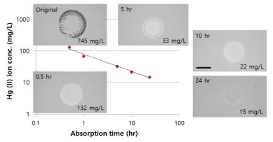 HgCl(II)의 흡착 시간 및 잔류 농도에 따른 CRE 패턴 사진