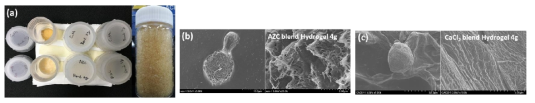 (a)상기 제조된 C/G 하이드로젤 입자를 이용하여 제조된 나노셀룰로오스-C/G 하이드로젤 입자 복합체에 대한 사진. (b,c)AZC 및 CaCl2를 각각 가교제로 이용하여 제작된 나노셀룰로오스-C/G 하이드로젤 입자 복합체에 대한 전자현미경 사진(좌: 저배율, 우: 고배율)