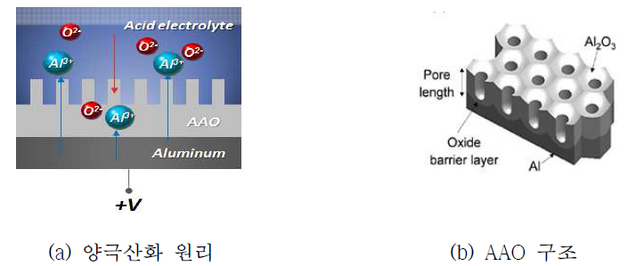 양극산화 원리 및 AAO 구조