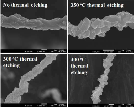 식각온도에 따른 제올라이트 나노섬유의 SEM 이미지