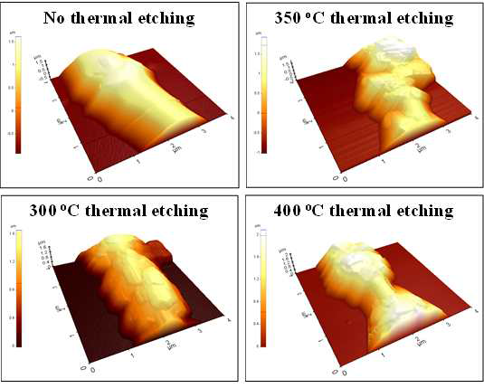 열 식각 온도에 따른 제올라이트 나노 섬유의 AFM 이미지