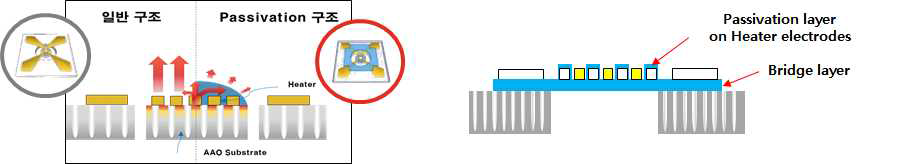 Passivation layer 구조