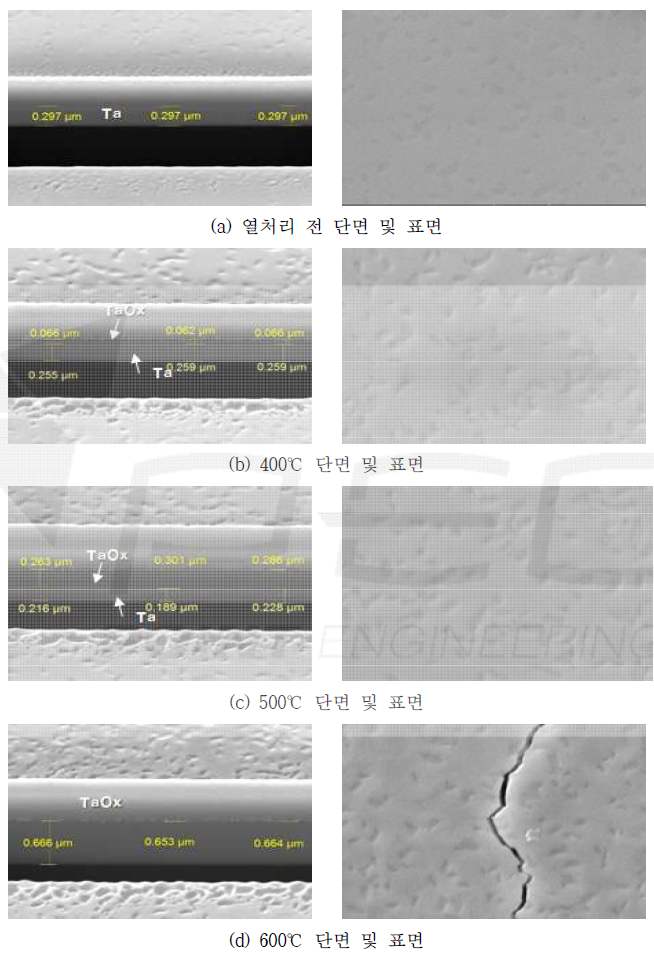 온도에 따른 Ta 열산화 단면 및 표면