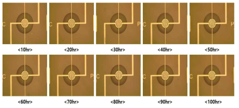 수명가속평가 시간에 따른 가스센서 플랫폼 표면