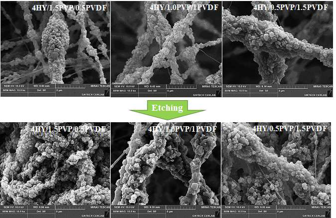 고분자 함량에 따른 제올라이트 나노섬유의 식각 전후 SEM 이미지