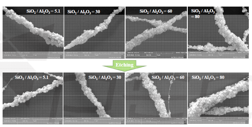 SiO2/Al2O3 비율에 따른 제올라이트 나노섬유의 식각 이미지