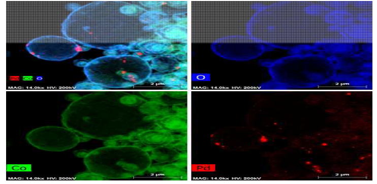 합성된 Pd-Co3O4 중공구조의 TEM mapping 결과