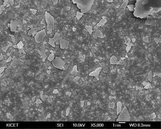 AAO 기판에 실리카 겔 입자 코팅 표면 SEM이미지