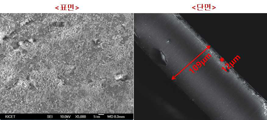 최적화 공정으로 코팅된 AAO 기판의 SEM 표면 및 단면 분석 결과