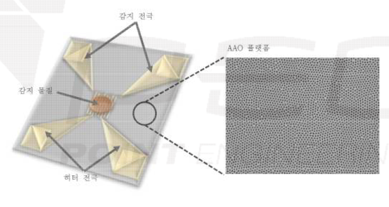 AAO 플랫폼 기반 마이크로 히터 개념도